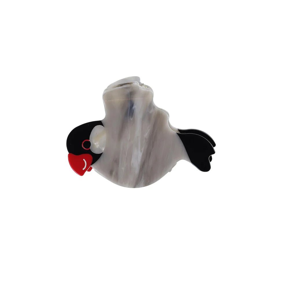 Søpapegøje hårklemme